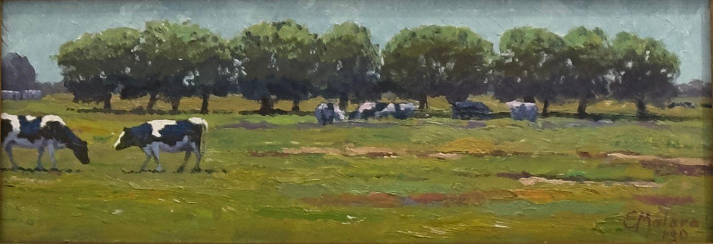 Bendita Pampa humeda